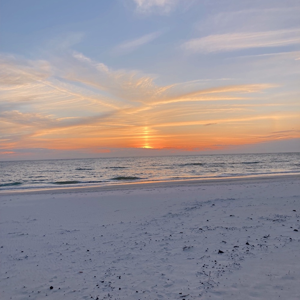 Meet your Posher, Sloane